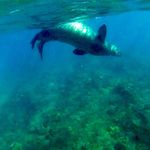 Profile Picture of Richard Kei (@iris_elements) on Instagram