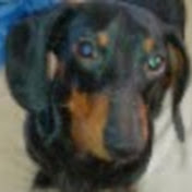 Profile Picture of Douglas Webb (@douglaswebb5107) on Youtube