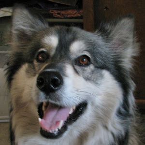 Profile Picture of davidsayers97 (@davidsayers97) on Tiktok