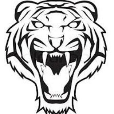 Profile Picture of Connor Jon Peart (@ocamtigerstripe) on Twitter