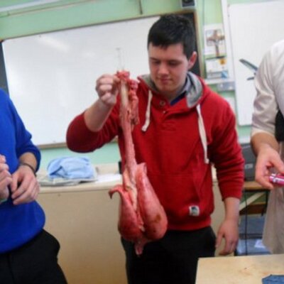 Profile Picture of Aaron O Mahony (@Aaron1095) on Twitter