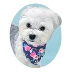 Profile Picture of Roux Brees (@itsrouxnotme) on Instagram