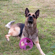 Profile Picture of Pedro Pichardo (@cangrejounoful) on Youtube