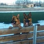 Profile Picture of Richárd Jelena (@richardjelena) on Instagram