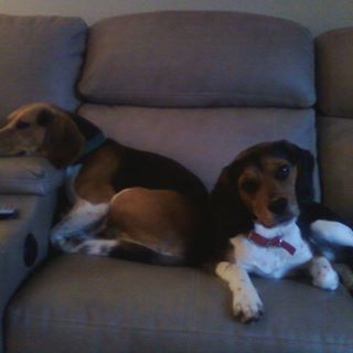 Profile Picture of Gregory Emrick (@gregory.emrick) on Facebook