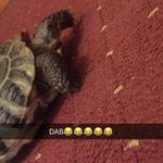 Profile Picture of adam glynn (@adam.glynn1) on Instagram