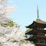 Jeremy Doublet - Instagram Profile Picture of Jeremy Doublet (@doublet.jeremy) on Instagram