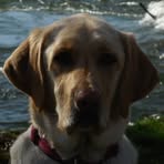 Profile Picture of Randy Ingram (@randy.ingram.268734) on Facebook