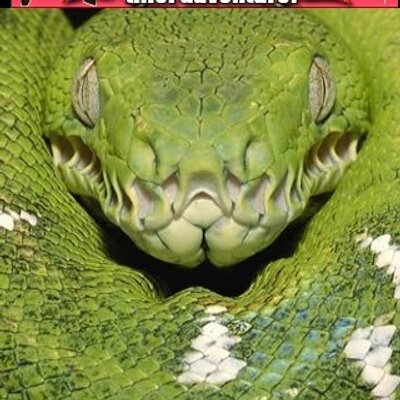 Profile Picture of Bob Keener (@Bobgoloco) on Twitter