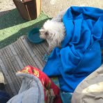 Profile Picture of Robert Machon (@Robert-Machon) on Facebook