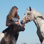 Profile Picture of Coco, James & Appel🐴 (@spothorses) on Instagram