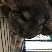 Profile Picture of Andrew Halliburton-Qwan (@amotobridger1314) on Youtube