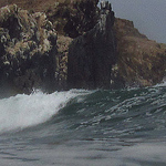 Profile Picture of Robert Kemp (@robertkemp148) on Flickr