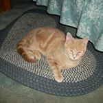 Profile Picture of Janet Calhoun (@janet.calhoun1) on Instagram