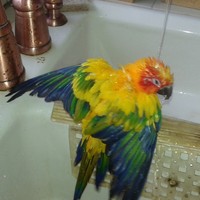 Profile Picture of Richard Murphy (@richard-murphy-133) on Quora