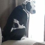 Profile Picture of Amanda Holzer (@mandydholzer) on Instagram