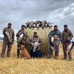 Profile Picture of James Whelchel (@copenhagen1107) on Instagram