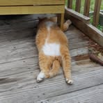 Profile Picture of Randy Kirby (@randy.kirby.685067) on Facebook