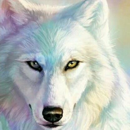 Profile Picture of alice (@alice.staceyy1) on Tiktok