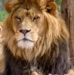 Profile Picture of Anwar Basha (@Anwar-Basha) on Facebook