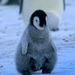 Profile Picture of Timothy Jacoby (@jacoby0609) on Pinterest