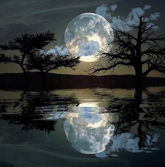 Profile Picture of Merridee Reeves tremble (@mezza3) on Poshmark