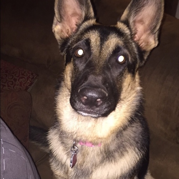 Profile Picture of Layton Schwenning (@layttonn) on Poshmark