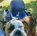 Profile Picture of Chris Rollinger (@chris.rollinger.98) on Facebook