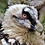 Profile Picture of tabitha frank (@frank3683ayu) on Instagram