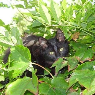 Profile Picture of Marleen Denolf (@marleen.denolf.31) on Facebook