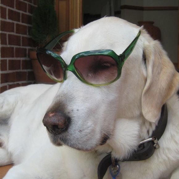 Judy Churches - Poshmark Profile Picture of Judy Churches (@judymarg) on Poshmark