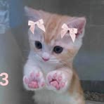 Profile Picture of Elaina Stewart (@elaina.stewart.946241) on Facebook