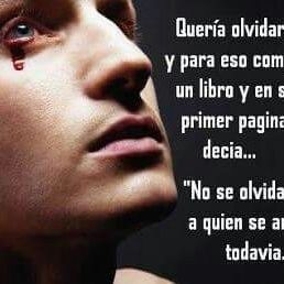 marcus rojas - Pinterest Profile Picture of marcus rojas (@marcus_rojas) on Pinterest