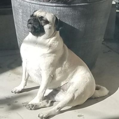 Profile Picture of Marivel Lopez (@Mariqta87) on Twitter