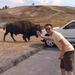 Profile Picture of Dave Nguyen (@davedn) on Pinterest