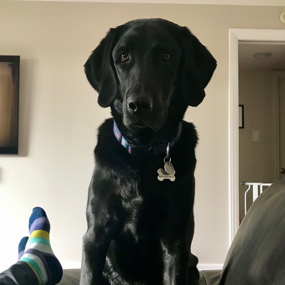 Profile Picture of Jesse Loring (@jesseloring) on Poshmark