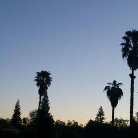 Profile Picture of Tammy Trede (@ttrede) on Pinterest