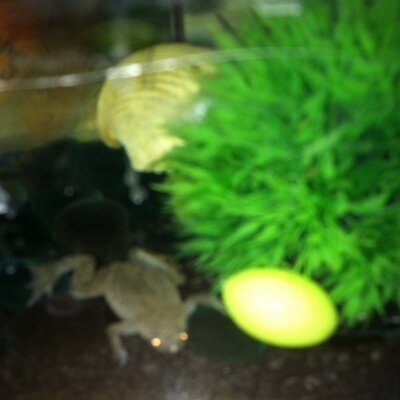 Profile Picture of Andy Sawtelle (@Iajones110) on Twitter