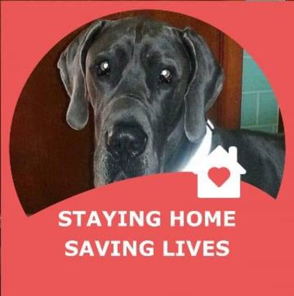 Cindy Gallant - Poshmark Profile Picture of Cindy Gallant (@cindygallant) on Poshmark