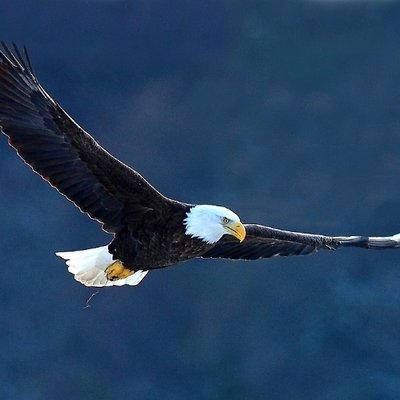 Mark Hines - Twitter Profile Picture of Mark Hines (@Second3rdParty) on Twitter