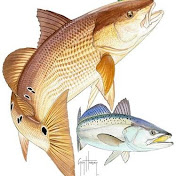 David Ganey - Youtube Profile Picture of David Ganey (@davidganey9286) on Youtube