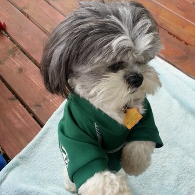 Profile Picture of Joanne Hamrick (@JhJodoze) on Twitter