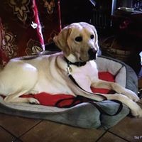 Profile Picture of Sandy Treppa-richards (@sandy-treppa-richards) on Quora