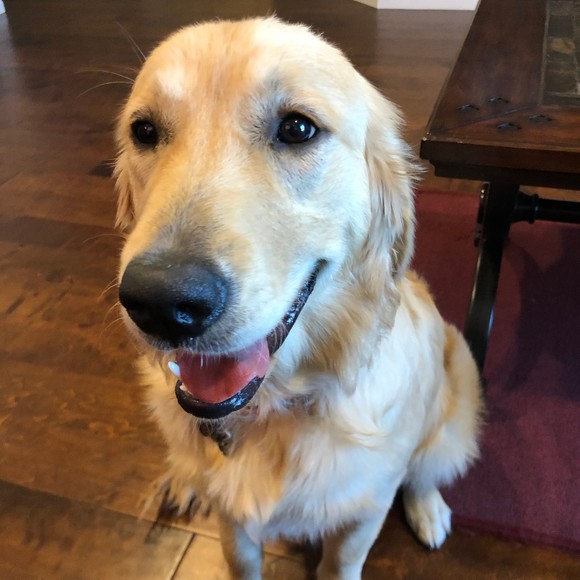 Profile Picture of Robin Gruman (@rlgruman) on Poshmark