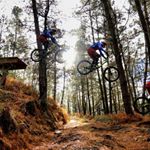 Profile Picture of Carlos Fernandez Fernandez (@bikevans) on Instagram