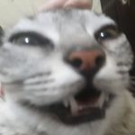 Profile Picture of Adrian thomaz marcolino (@adrianthomazm) on Instagram