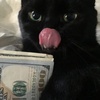 Profile Picture of larry lier (@larrylier) on Tiktok