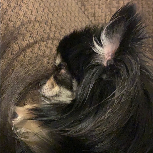 Profile Picture of Grace Homick (@ghomick) on Poshmark