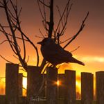 Profile Picture of Mark Freeman (@mf60uk) on Instagram