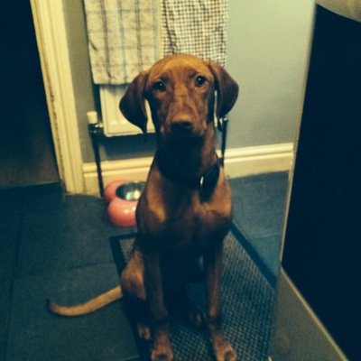 Profile Picture of Joe Hanlon (@JoeJoehanlon84) on Twitter